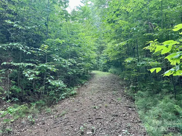 13 Wildlife DR #13, Clyde, NC 28721
