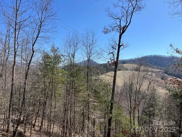 000 Trinity PL, Burnsville, NC 28714