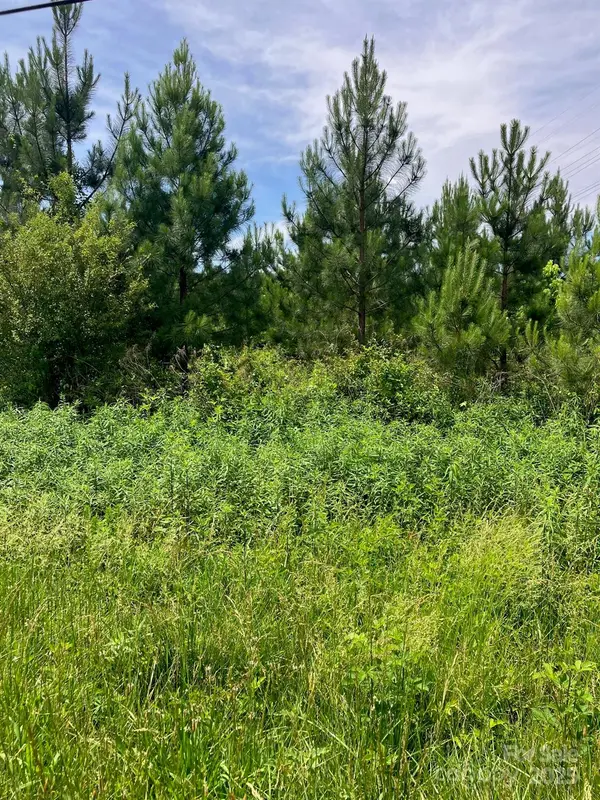 0 Renee Ford RD, Stanfield, NC 28163