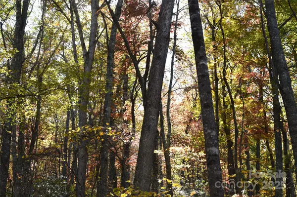 TBD Clear Creek RD, Burnsville, NC 28714