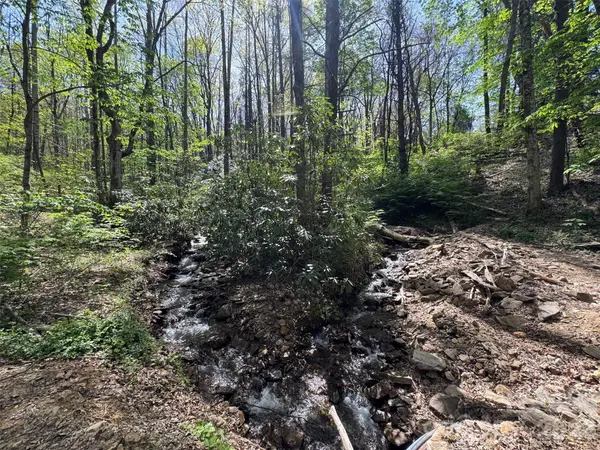 TBD (B) Browning Branch RD, Waynesville, NC 28786