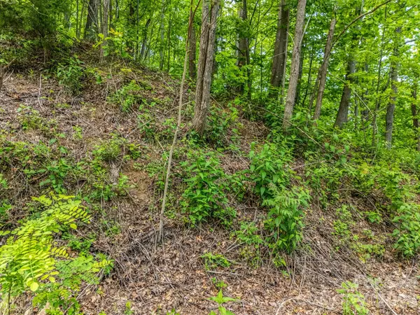 0 Ragans Pointe #31, Columbus, NC 28722