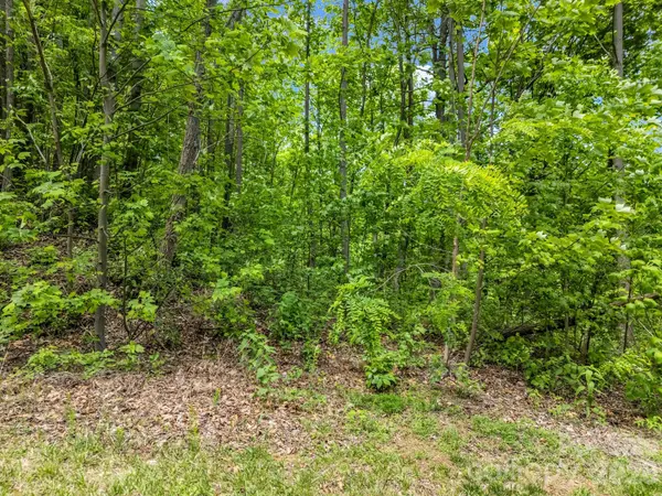 0 Ragans Pointe #31, Columbus, NC 28722
