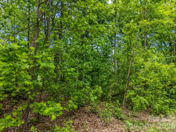 0 Ragans Pointe #31, Columbus, NC 28722