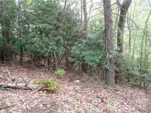 00 Promiseland RD, Canton, NC 28716