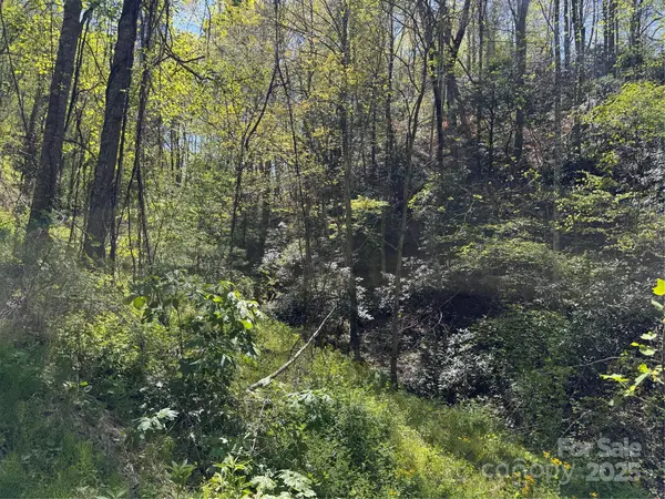 000 Relief EXT, Green Mountain, NC 28740