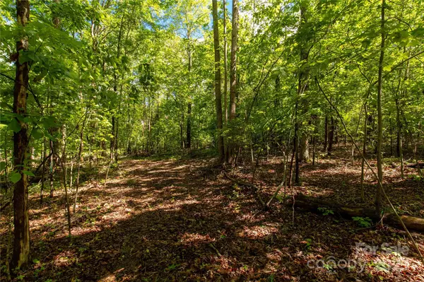 5212 Star Magnolia CT, Clover, SC 29710