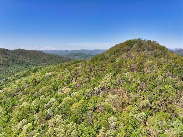 99999 Anderson Cove RD, Barnardsville, NC 28709