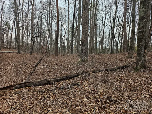 000 Weaver Mill RD, Columbus, NC 28722