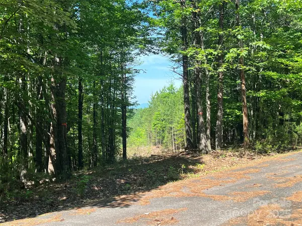 0 South Mountain DR #16, Nebo, NC 28761