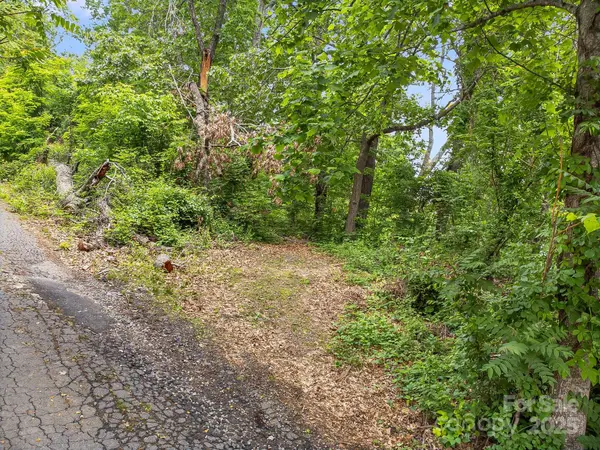 9999 Small Mountain DR, Asheville, NC 28805