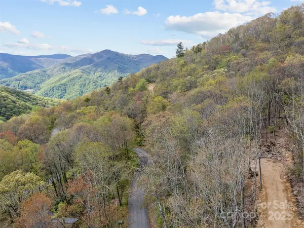 Lot G-44 Odalu TRL #G-44, Maggie Valley, NC 28751