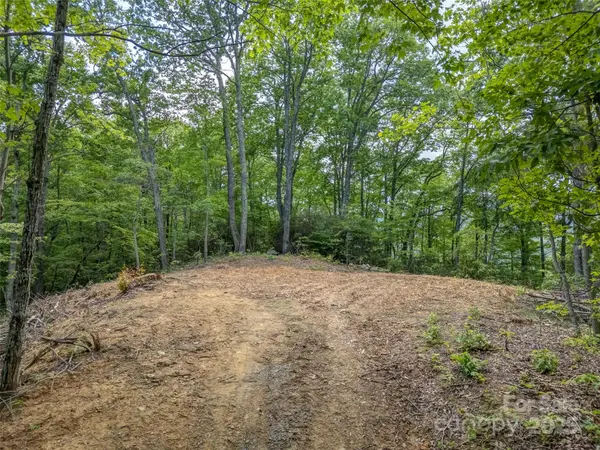 100 White Rock Branch RD, Candler, NC 28715