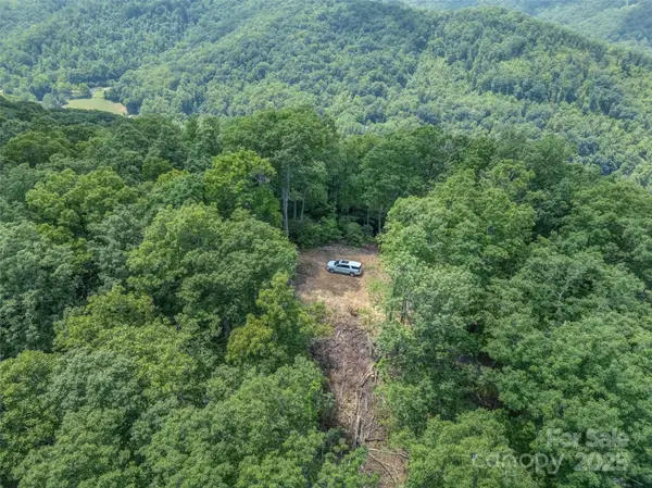 100 White Rock Branch RD, Candler, NC 28715