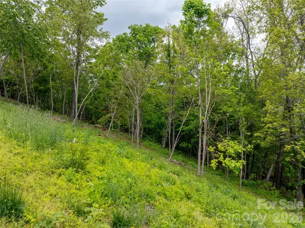 124 Summit Tower CIR, Asheville, NC 28804