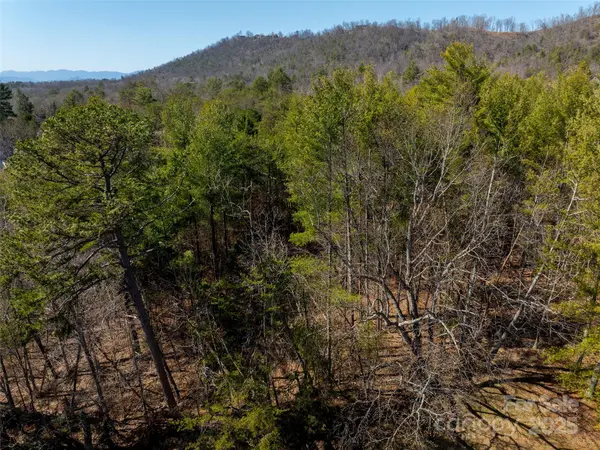 83 Union Chapel RD, Weaverville, NC 28787