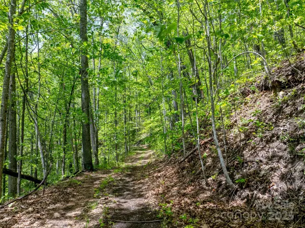 444 Woodring Cemetery RD, Tuckasegee, NC 28783