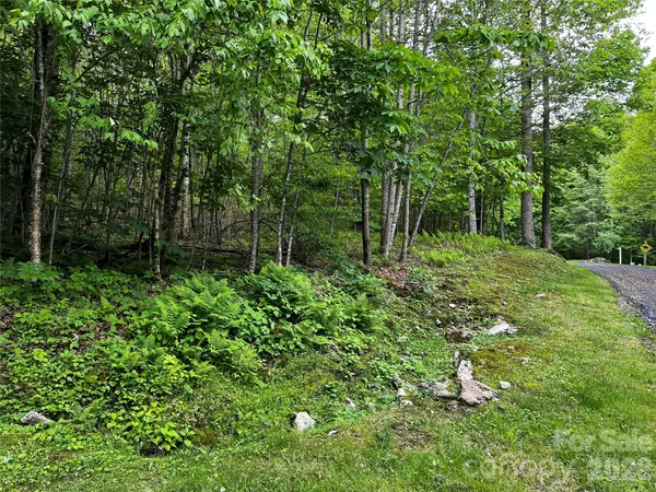 1 Pearl WAY, Mars Hill, NC 28754