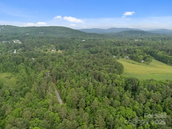 000 Red Fox LN #17, Flat Rock, NC 28731