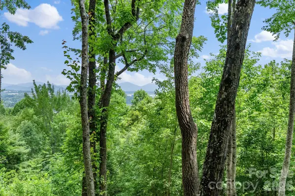 120 Split Rock TRL, Arden, NC 28704
