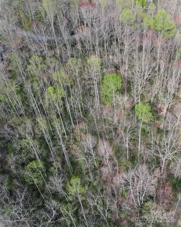 Lot 96 Black Oak DR, Sapphire, NC 28774