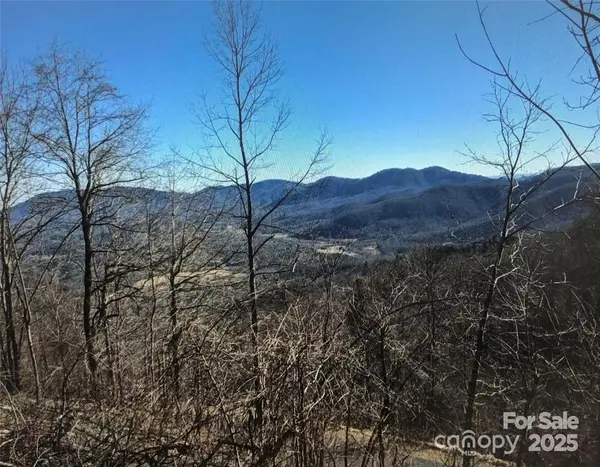 1591 Creston DR #T-78, Black Mountain, NC 28711