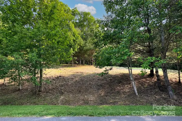 V/L Smith Knolls RD, Fairview, NC 28730