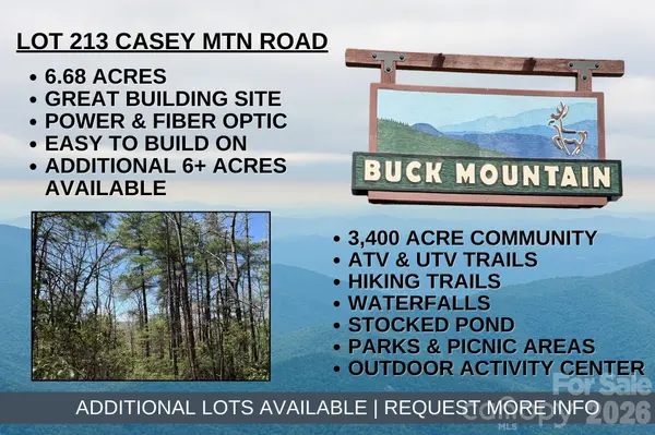 TBD Casey Mountain RD #213, Purlear, NC 28665