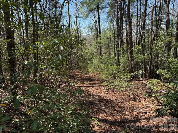 TBD Casey Mountain RD #213, Purlear, NC 28665