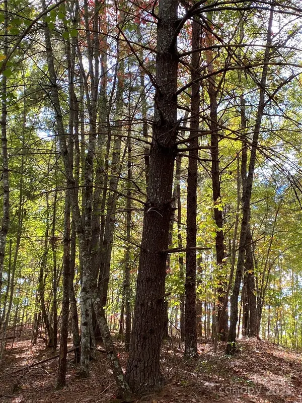 Lot 13 Highlands DR, Lake Lure, NC 28746
