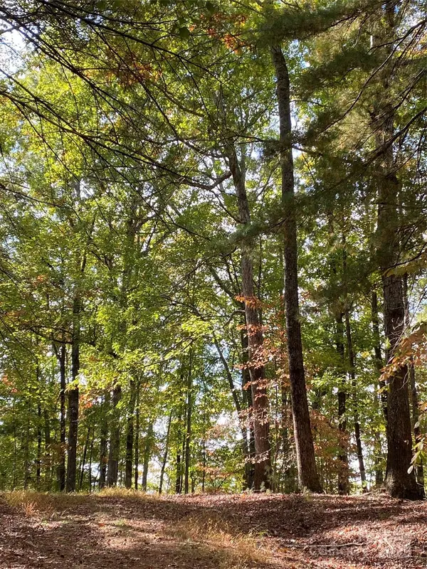 Lot 13 Highlands DR, Lake Lure, NC 28746