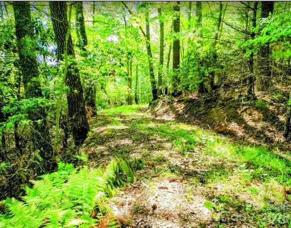TBD Lucky Leaf LN, Vilas, NC 28692