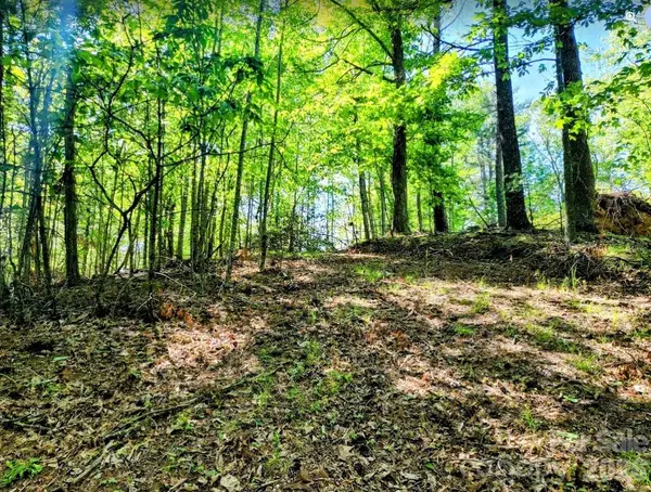 TBD Lucky Leaf LN, Vilas, NC 28692