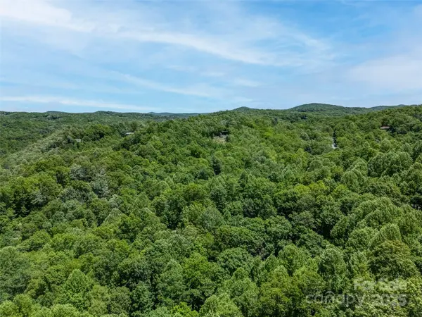 0000 Dotsi DR, Brevard, NC 28712