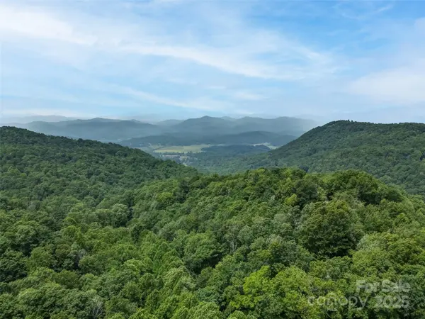 0000 Dotsi DR, Brevard, NC 28712
