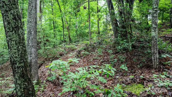 765 Tanglecliff ST SE, Valdese, NC 28690