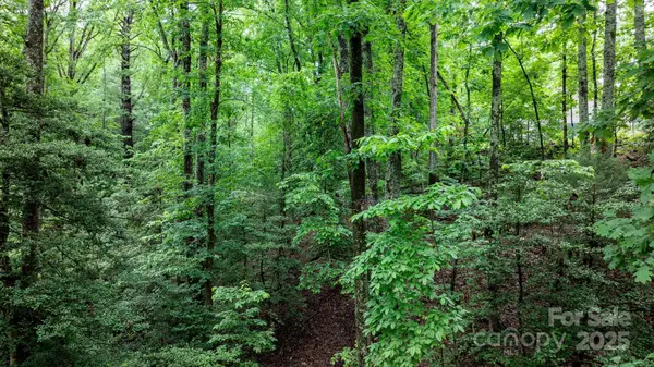 765 Tanglecliff ST SE, Valdese, NC 28690