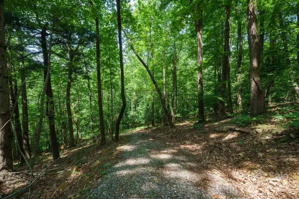 00 Hendren RD, Moravian Falls, NC 28654