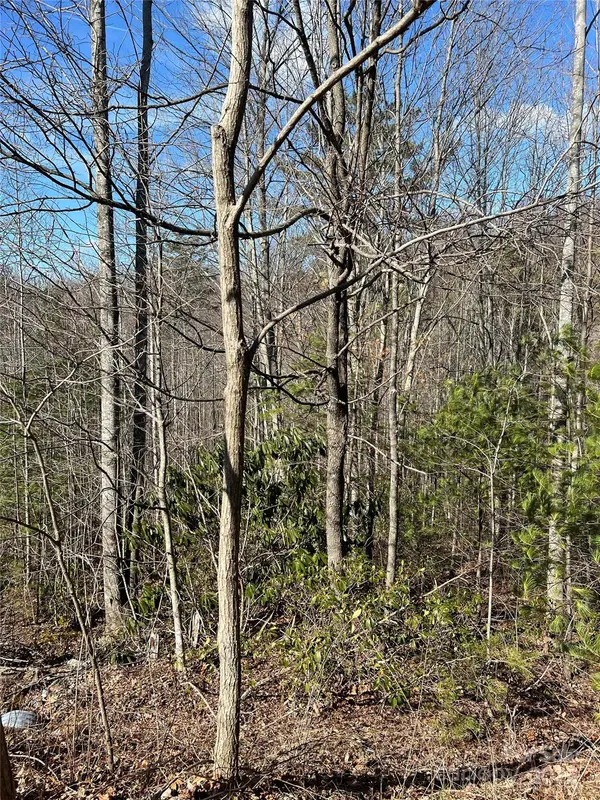 Lot# 130 Terra Vista DR, Lenoir, NC 28645