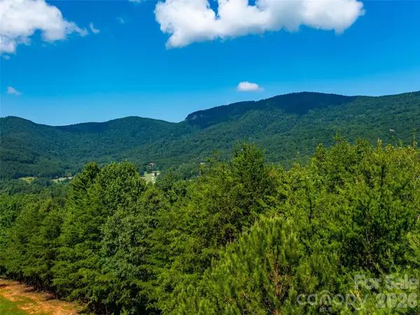 40 Deep Gap Farm RD E, Mill Spring, NC 28756