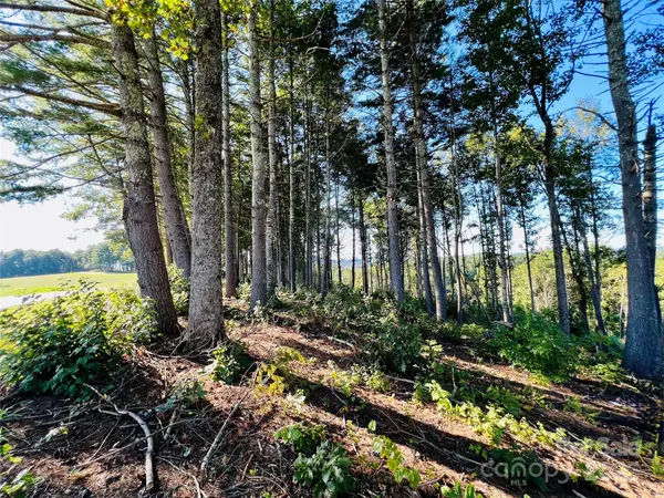 2.07 acres, 2058 Thoroughbred WAY #G16, Lenoir, NC 28645
