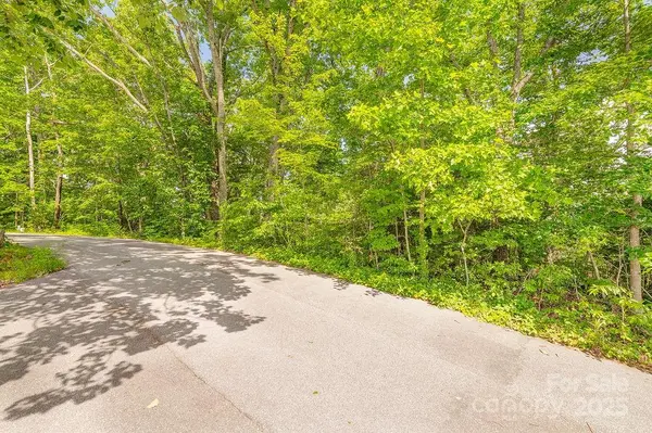 99999 Pheasant Ridge RD #14, Fairview, NC 28730
