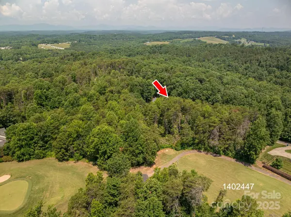 00 Washburn LN, Rutherfordton, NC 28139