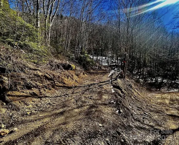 3837 & 3689 Plott Balsam RD, Maggie Valley, NC 28751