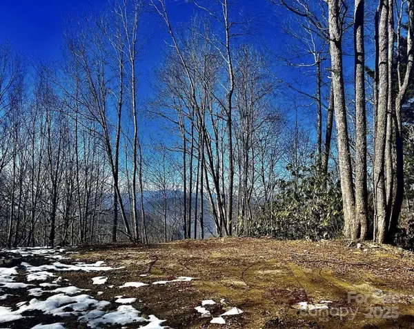 3837 & 3689 Plott Balsam RD, Maggie Valley, NC 28751