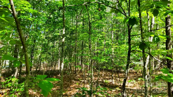 0000 Loblolly LN #24/23/22, Mill Spring, NC 28756