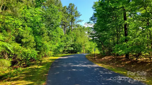 0000 Loblolly LN #24/23/22, Mill Spring, NC 28756