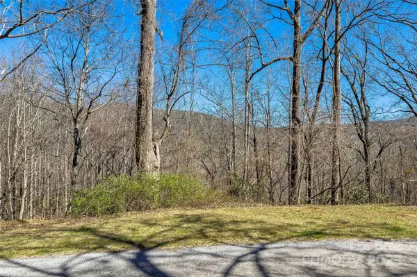 Lot# 158 Hunnicut Mountain RD, Marion, NC 28752