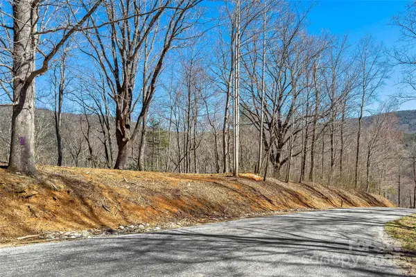 Lot# 158 Hunnicut Mountain RD, Marion, NC 28752