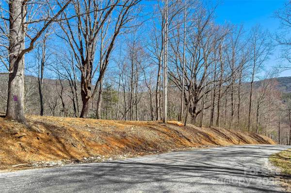 Lot# 158 Hunnicut Mountain RD, Marion, NC 28752